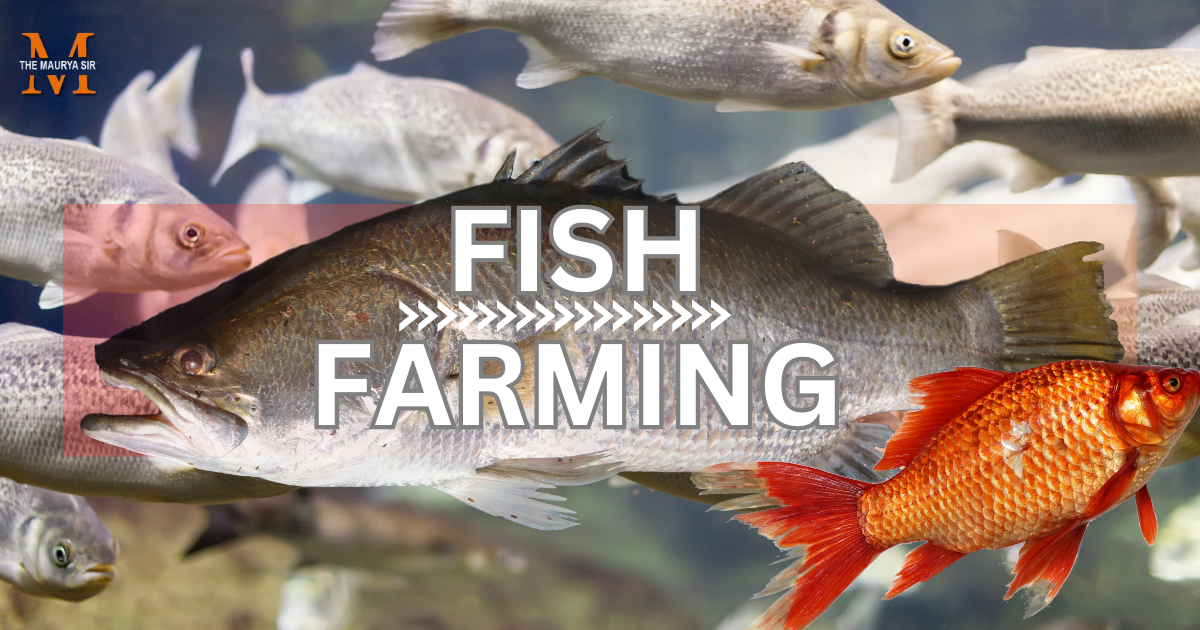 How to Make Fish Farming A Comprehensive Guide