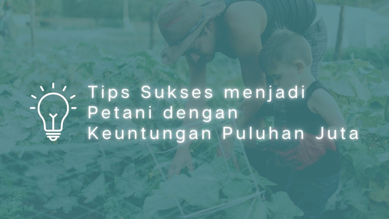 Tips Sukses menjadi Petani dengan Keuntungan Puluhan Juta